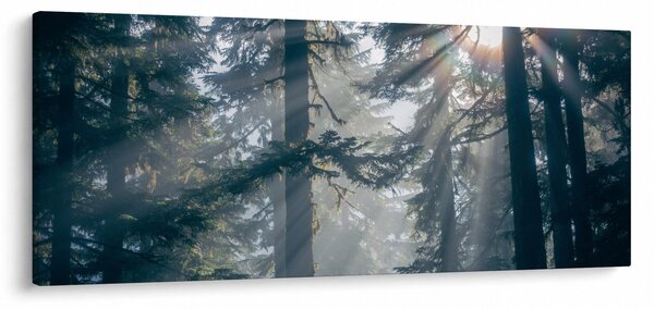 Tablou cu copaci și soarele translucind (120x50 cm)