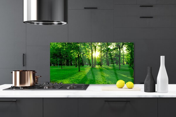 Panou sticla bucatarie Natural Pădurea Verde Maro