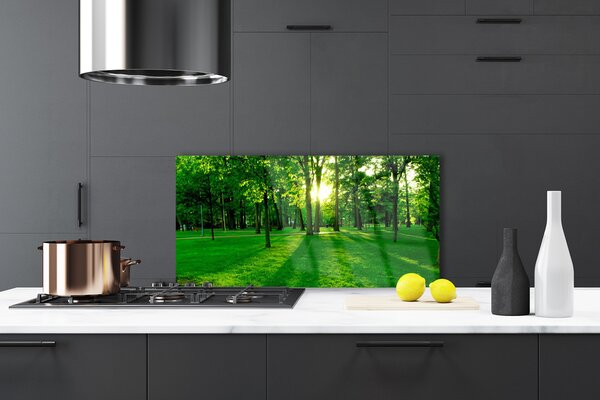 Panou sticla bucatarie Natural Pădurea Verde Maro