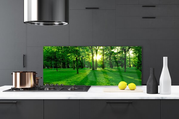 Panou sticla bucatarie Natural Pădurea Verde Maro