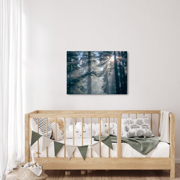 Tablou cu copaci și soarele translucind (70x50 cm)