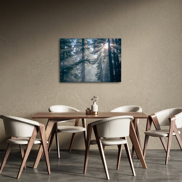 Tablou cu copaci și soarele translucind (70x50 cm)