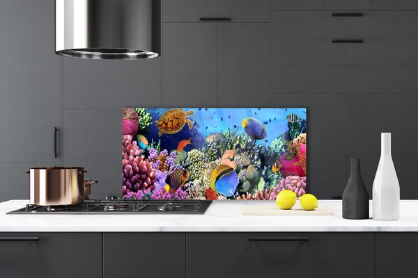 Panou sticla bucatarie Coral Reef Natura Multi