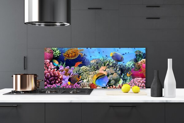 Panou sticla bucatarie Coral Reef Natura Multi
