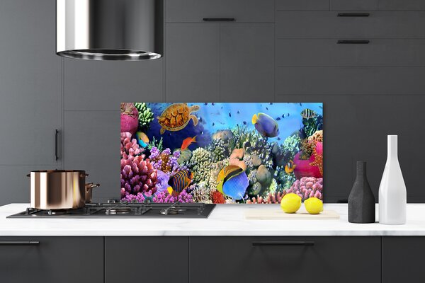 Panou sticla bucatarie Coral Reef Natura Multi