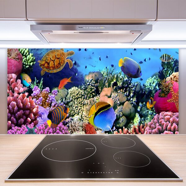 Panou sticla bucatarie Coral Reef Natura Multi