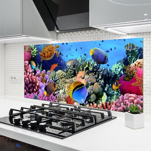 Panou sticla bucatarie Coral Reef Natura Multi