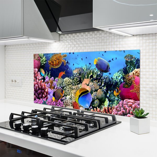 Panou sticla bucatarie Coral Reef Natura Multi