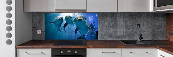 Sticlă pentru bucătărie trei delfini