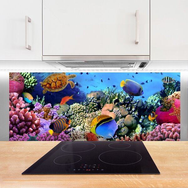 Panou sticla bucatarie Coral Reef Natura Multi