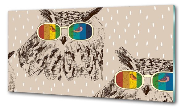 Panou de bucătărie Owls ochelari