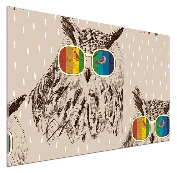 Panou de bucătărie Owls ochelari