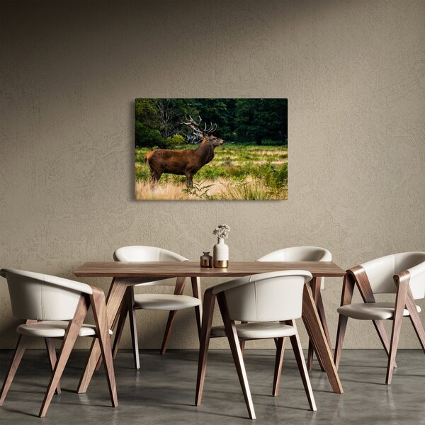 Tablou cu cerb (90x60 cm)