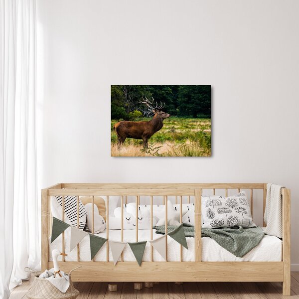 Tablou cu cerb (70x50 cm)