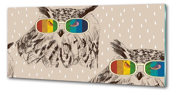 Panou de bucătărie Owls ochelari