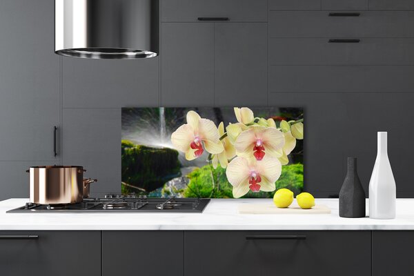 Panou sticla bucatarie Copaci Floral Alb Roșu
