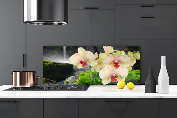Panou sticla bucatarie Copaci Floral Alb Roșu