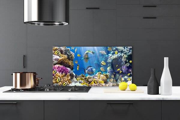 Panou sticla bucatarie Coral Reef Natura Multi