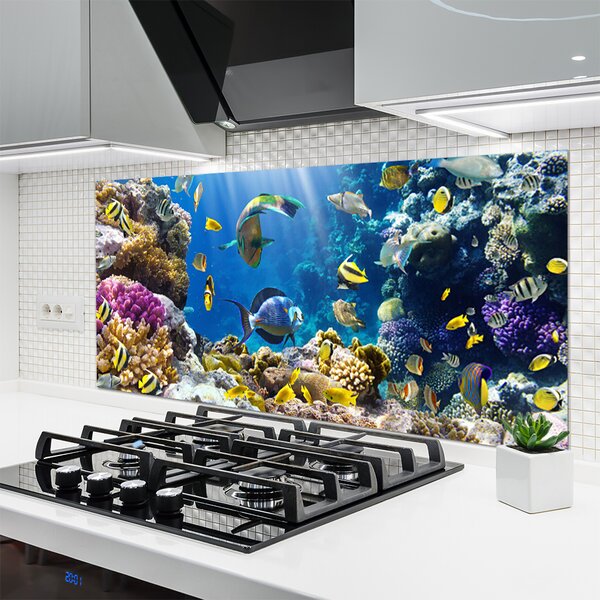 Panou sticla bucatarie Coral Reef Natura Multi