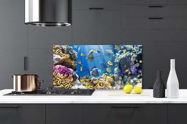 Panou sticla bucatarie Coral Reef Natura Multi