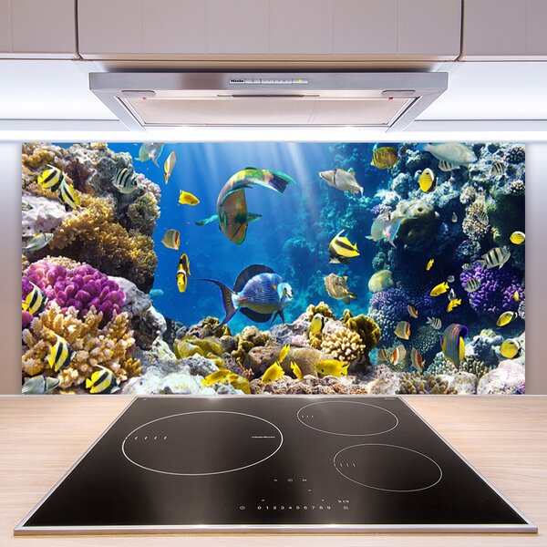 Panou sticla bucatarie Coral Reef Natura Multi