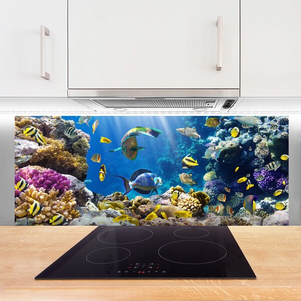 Panou sticla bucatarie Coral Reef Natura Multi