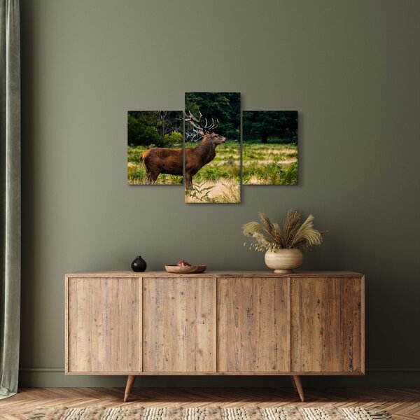 Tablou cu cerb (90x60 cm)