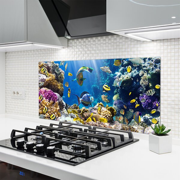 Panou sticla bucatarie Coral Reef Natura Multi