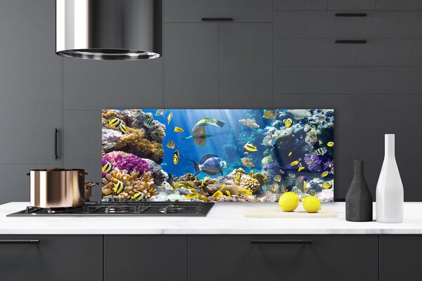 Panou sticla bucatarie Coral Reef Natura Multi