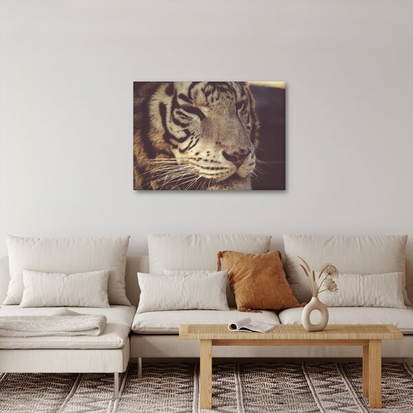 Tablou cu tigrul (70x50 cm)