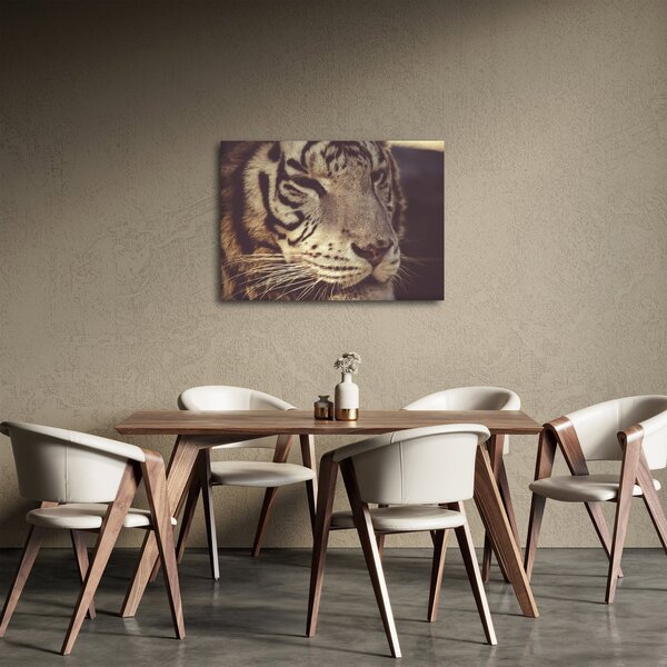 Tablou cu tigrul (70x50 cm)