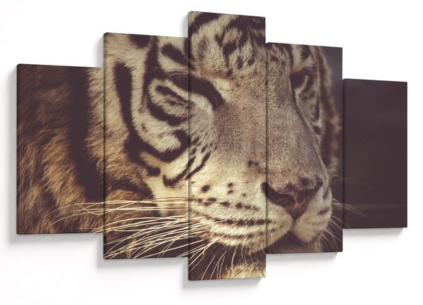 Tablou cu tigrul (150x105 cm)