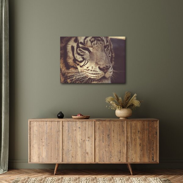 Tablou cu tigrul (70x50 cm)