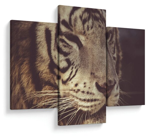 Tablou cu tigrul (90x60 cm)