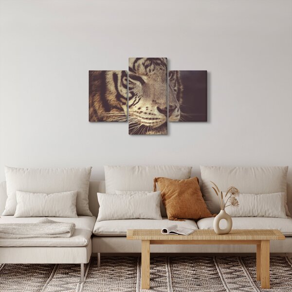 Tablou cu tigrul (90x60 cm)