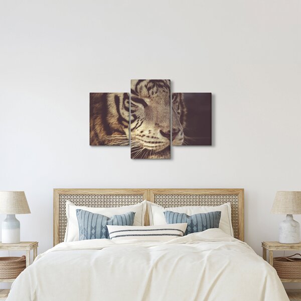 Tablou cu tigrul (90x60 cm)