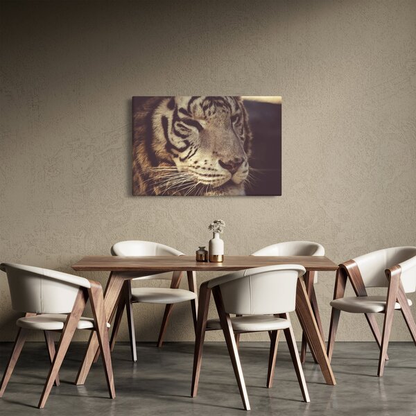 Tablou cu tigrul (90x60 cm)