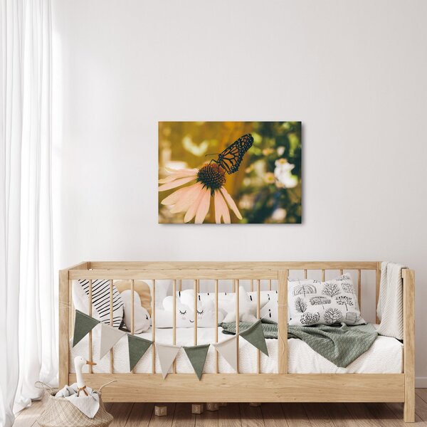 Tablou cu fluture pe floare (70x50 cm)