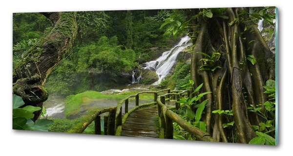 Panou perete bucătărie Cascada din junglă