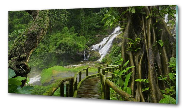 Panou perete bucătărie Cascada din junglă