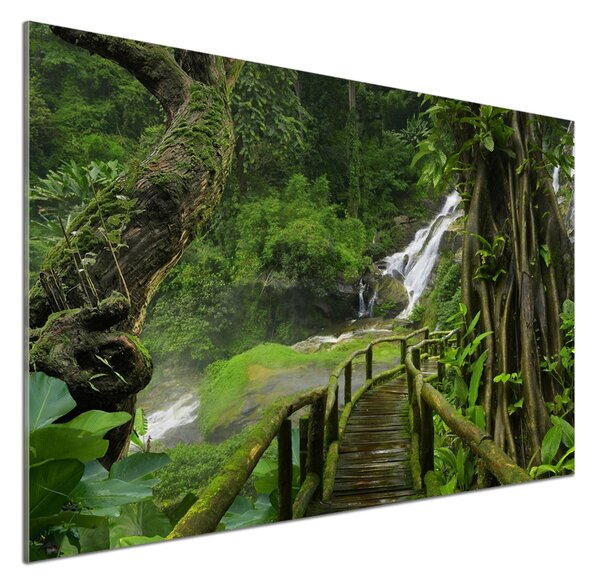 Panou perete bucătărie Cascada din junglă