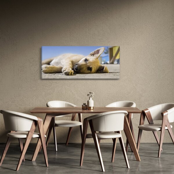 Tablou cu cățeluș dormind (120x50 cm)