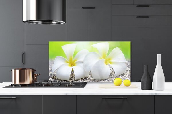 Panou sticla bucatarie Flori Floral alb