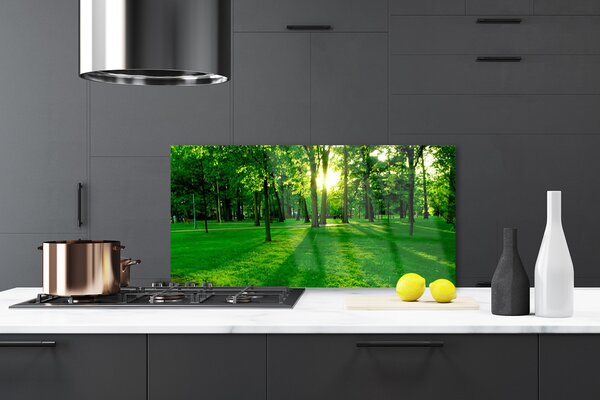 Panou sticla bucatarie Natural Pădurea Verde Maro