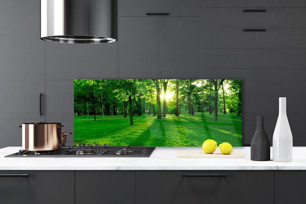 Panou sticla bucatarie Natural Pădurea Verde Maro