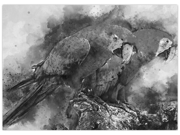 Tablou - Acuarelă papagali (70x50 cm)