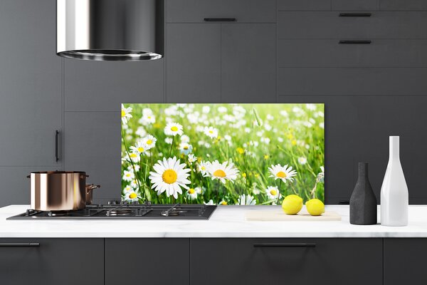 Panou sticla bucatarie Daisy Floral Alb Galben Verde