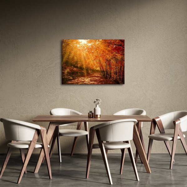 Tablou cu pădurea în toamnă (70x50 cm)