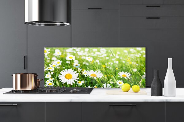 Panou sticla bucatarie Daisy Floral Alb Galben Verde
