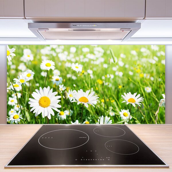 Panou sticla bucatarie Daisy Floral Alb Galben Verde